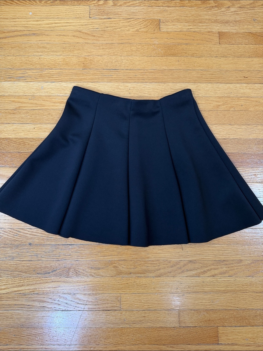 Zara Black Pleated Mini Skirt